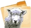 Folder Differences Report for FolderClone File Syncrhonization Software