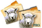 Download our easy to use file and folder replication software here.